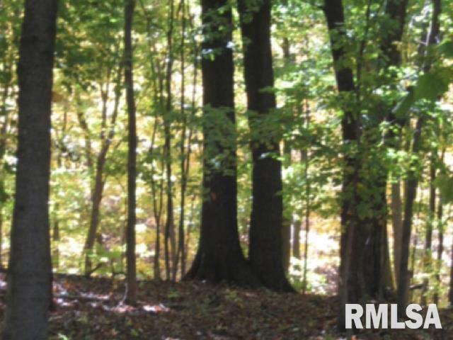 0 West Singing Woods Road Dunlap, IL 61525 - Photo 22 of 78