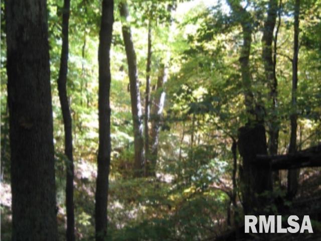 0 West Singing Woods Road Dunlap, IL 61525 - Photo 23 of 78