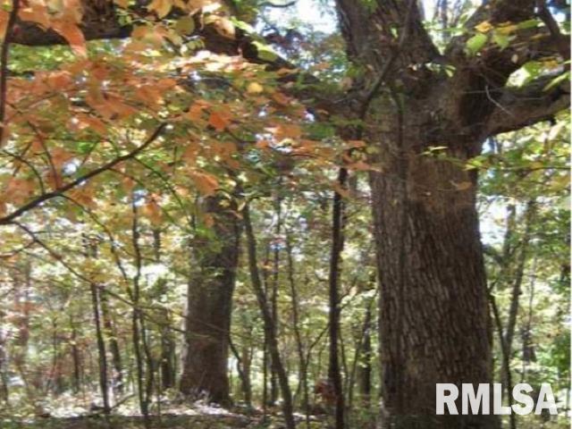 0 West Singing Woods Road Dunlap, IL 61525 - Photo 24 of 78