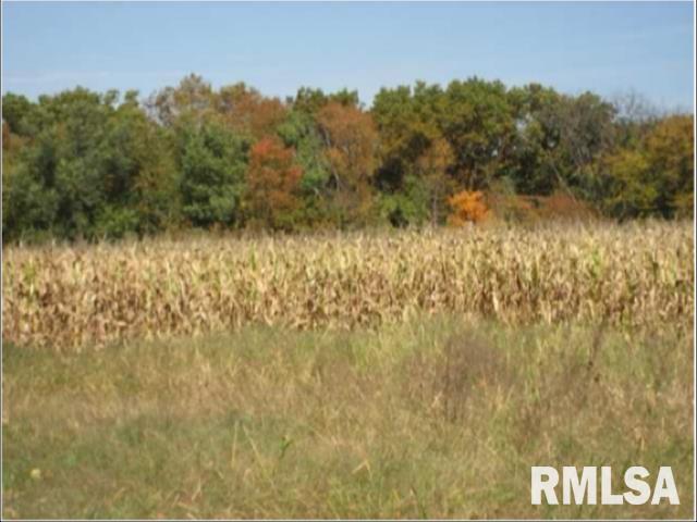 0 West Singing Woods Road Dunlap, IL 61525 - Photo 25 of 78