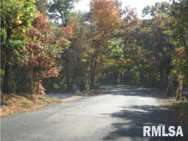 0 West Singing Woods Road Dunlap, IL 61525 - Photo 27 of 78