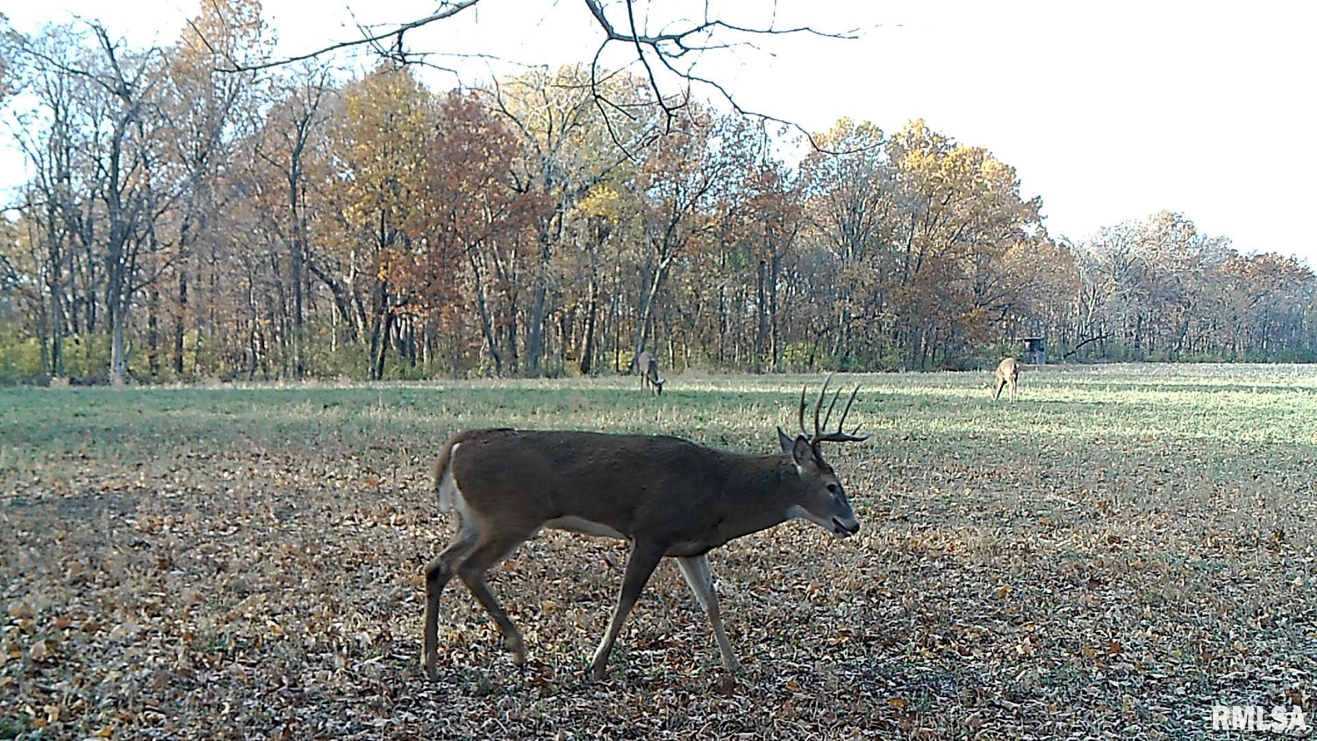 0 West Singing Woods Road Dunlap, IL 61525 - Photo 30 of 78
