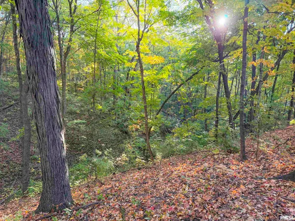$2,300,000 | 0 West Singing Woods Road, Dunlap, IL 61525