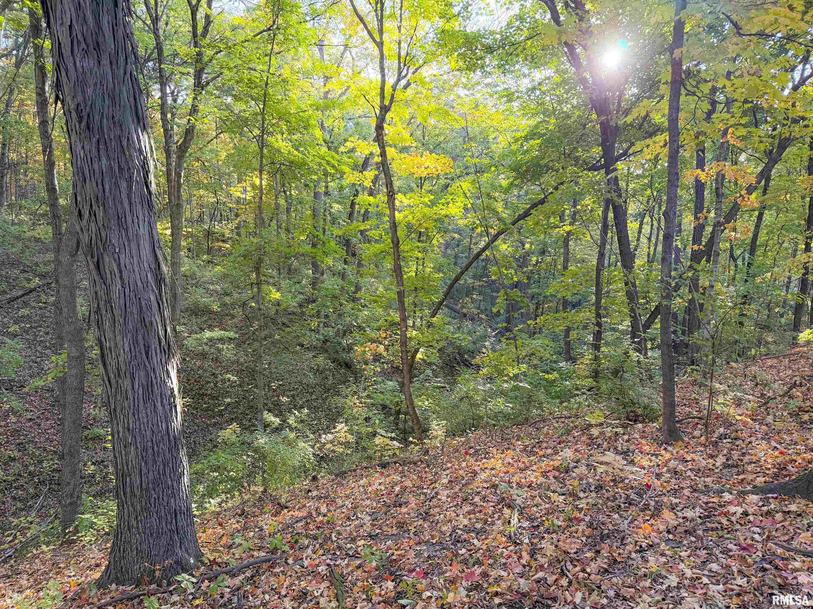 0 West Singing Woods Road Dunlap, IL 61525 - Photo 31 of 78