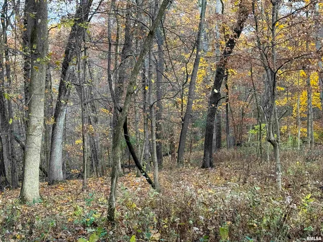 $2,300,000 | 0 West Singing Woods Road, Dunlap, IL 61525