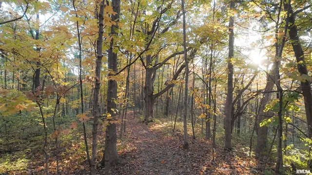 $2,300,000 | 0 West Singing Woods Road, Dunlap, IL 61525