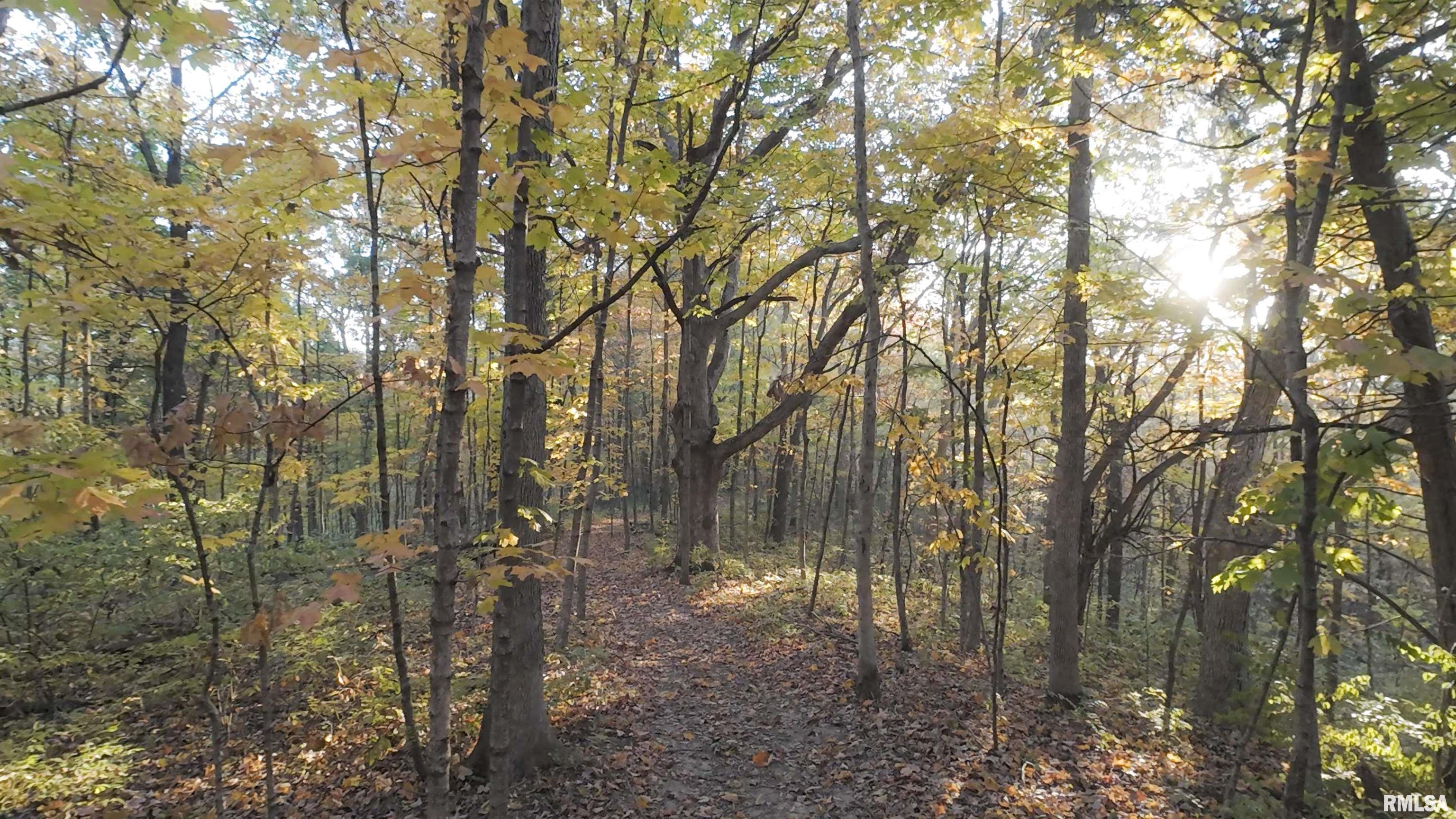 0 West Singing Woods Road Dunlap, IL 61525 - Photo 33 of 78