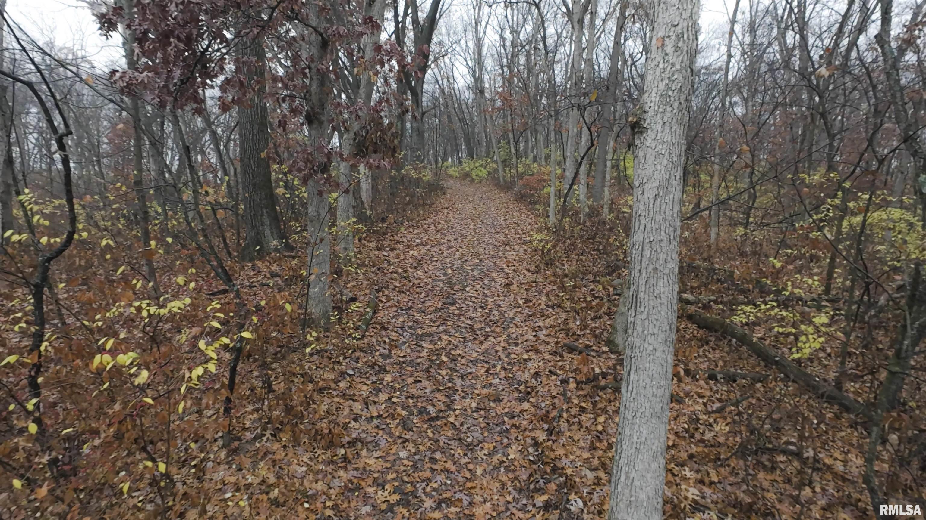 0 West Singing Woods Road Dunlap, IL 61525 - Photo 34 of 78