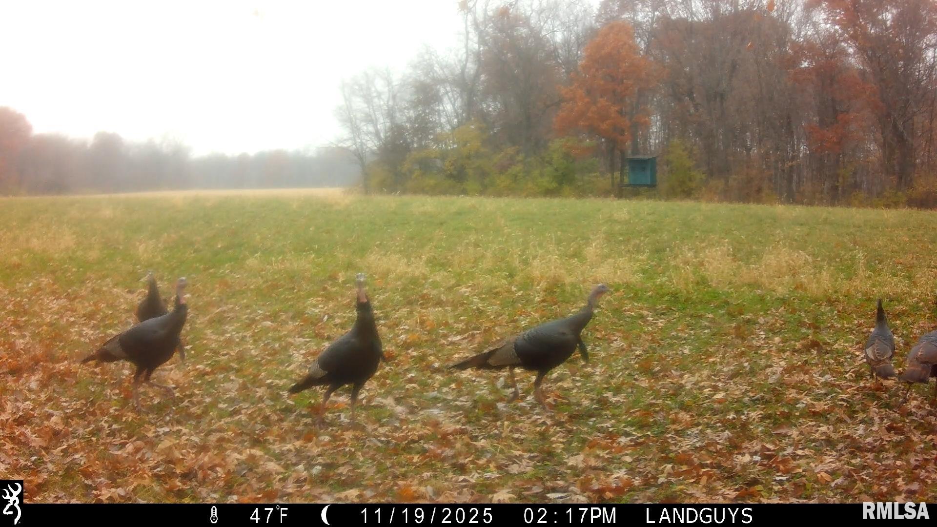 0 West Singing Woods Road Dunlap, IL 61525 - Photo 35 of 78