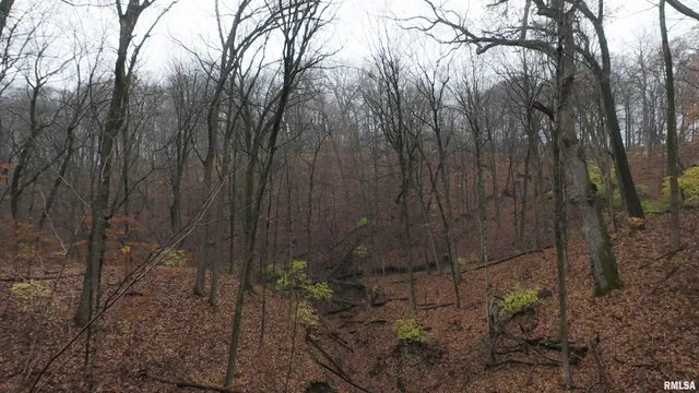 $2,300,000 | 0 West Singing Woods Road, Dunlap, IL 61525