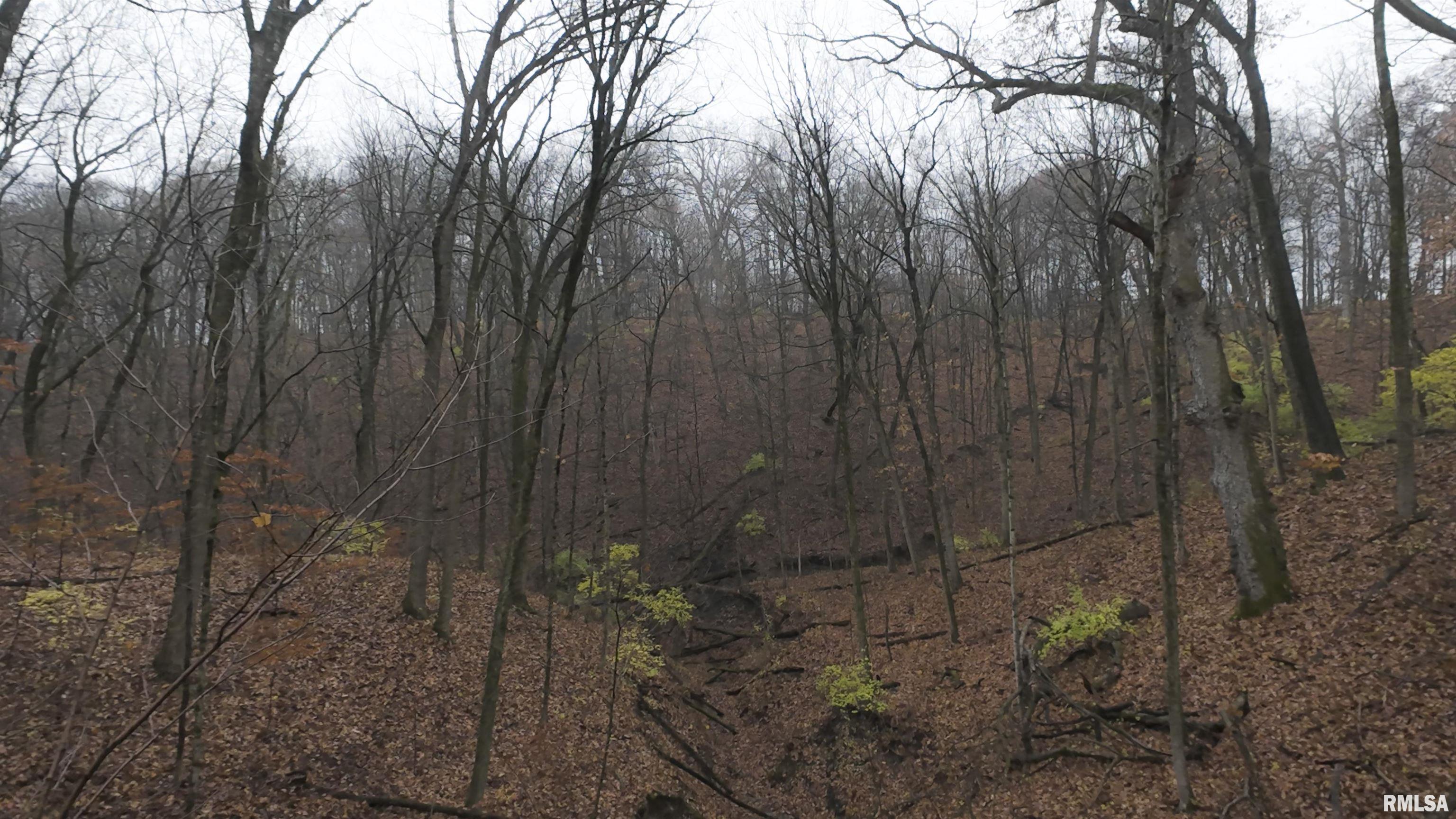 0 West Singing Woods Road Dunlap, IL 61525 - Photo 37 of 78