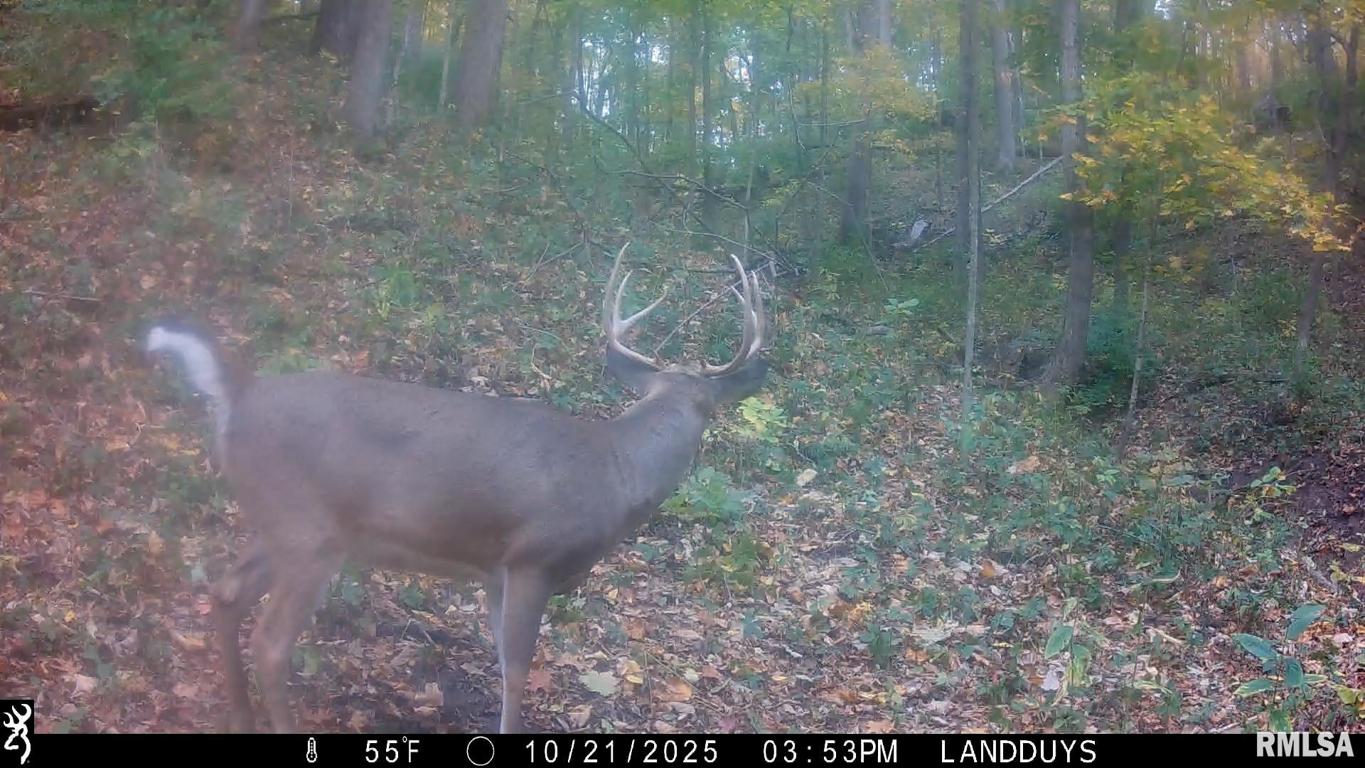 0 West Singing Woods Road Dunlap, IL 61525 - Photo 38 of 78