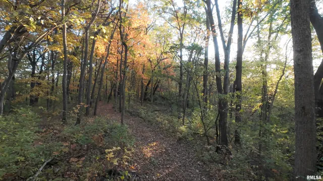 $2,300,000 | 0 West Singing Woods Road, Dunlap, IL 61525