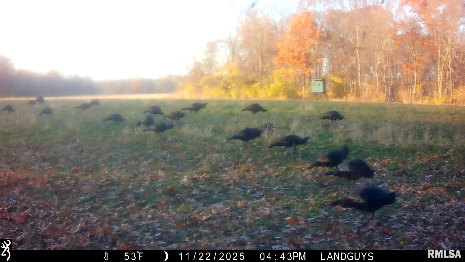 0 West Singing Woods Road Dunlap, IL 61525 - Photo 44 of 78