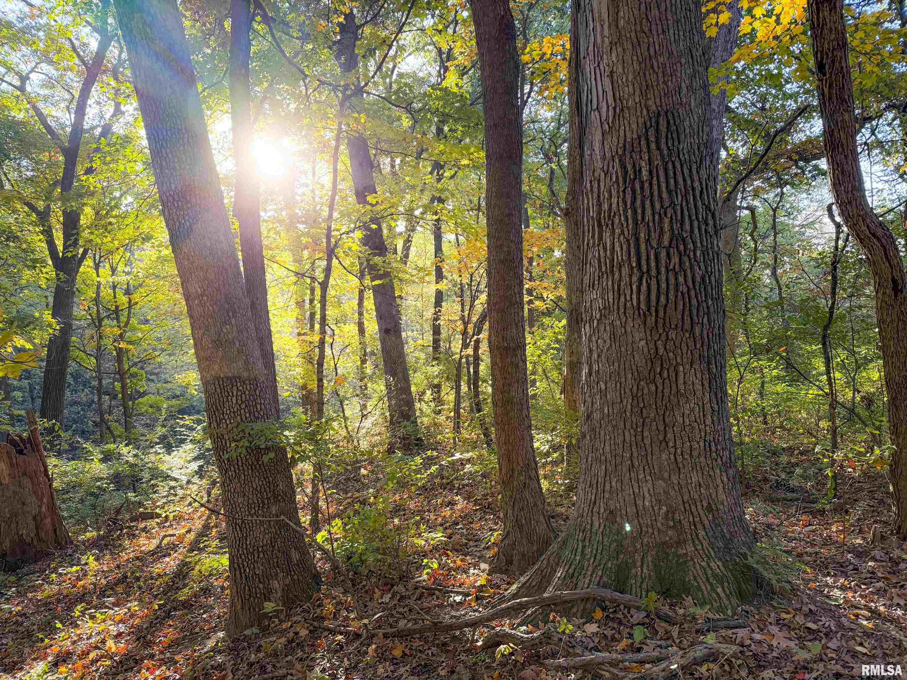 0 West Singing Woods Road Dunlap, IL 61525 - Photo 45 of 78