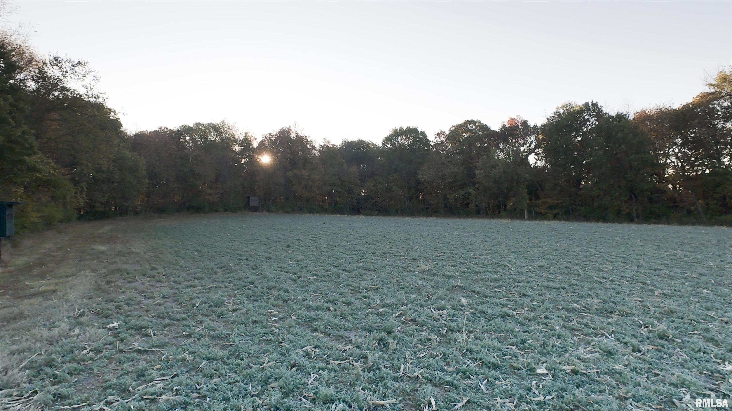 0 West Singing Woods Road Dunlap, IL 61525 - Photo 46 of 78