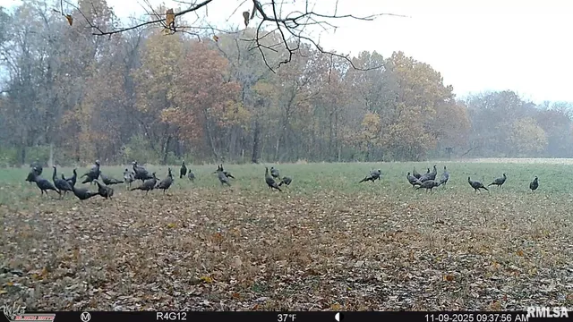 $2,300,000 | 0 West Singing Woods Road, Dunlap, IL 61525