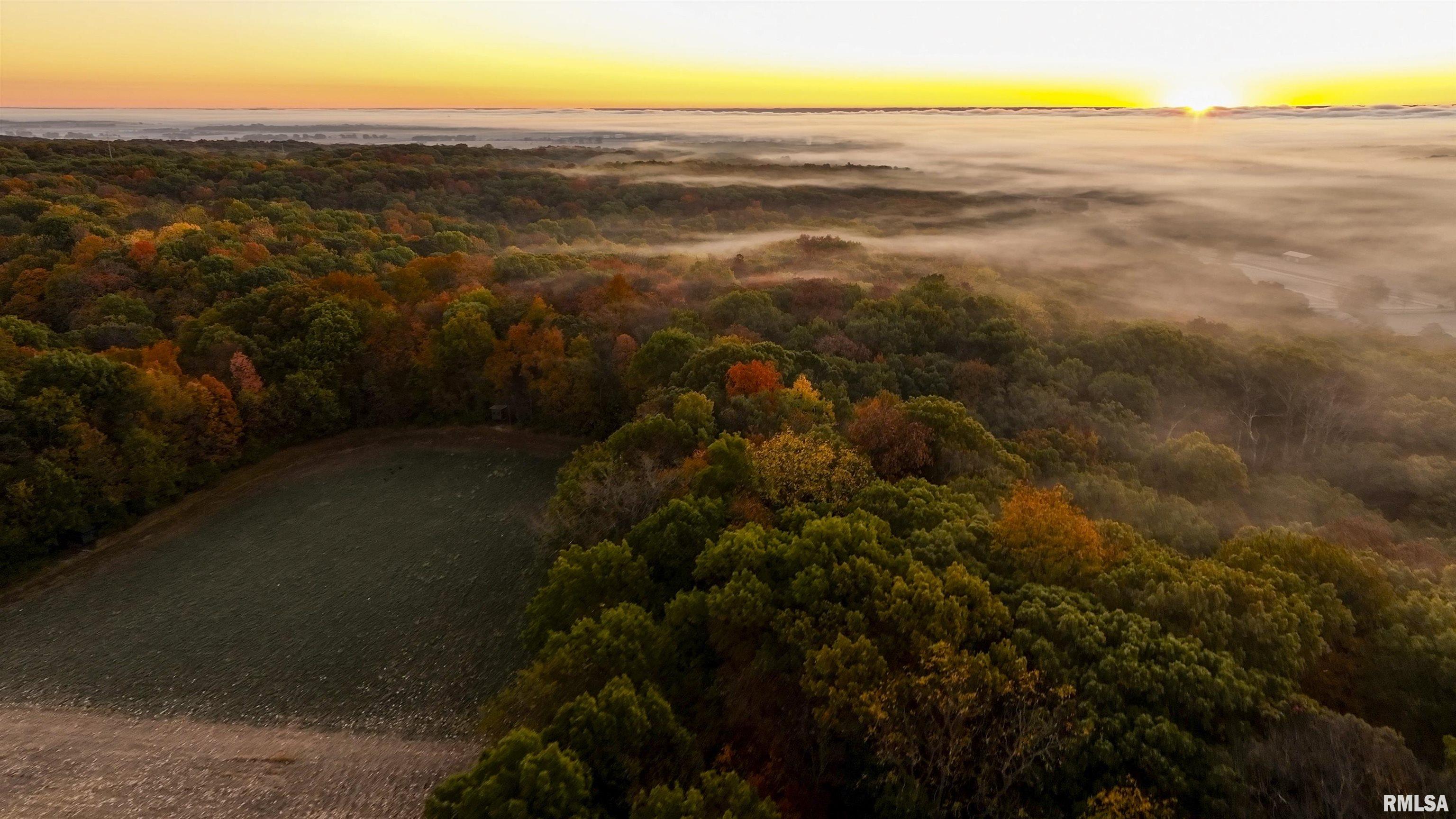0 West Singing Woods Road Dunlap, IL 61525 - Photo 48 of 78