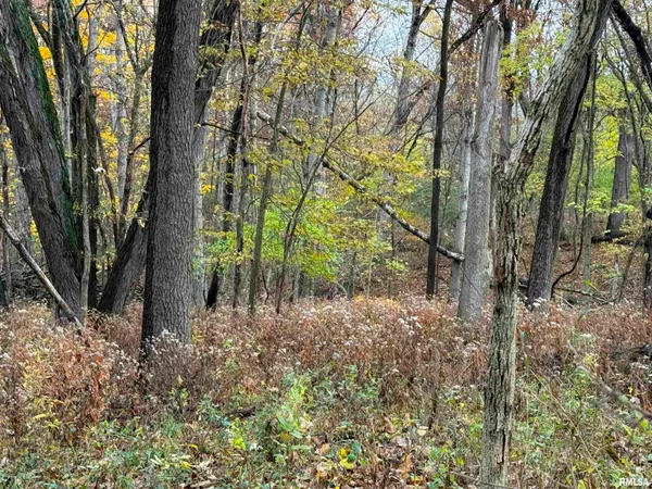 $2,300,000 | 0 West Singing Woods Road, Dunlap, IL 61525