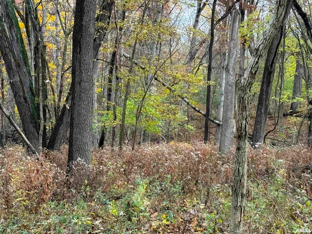 $2,300,000 | 0 West Singing Woods Road, Dunlap, IL 61525