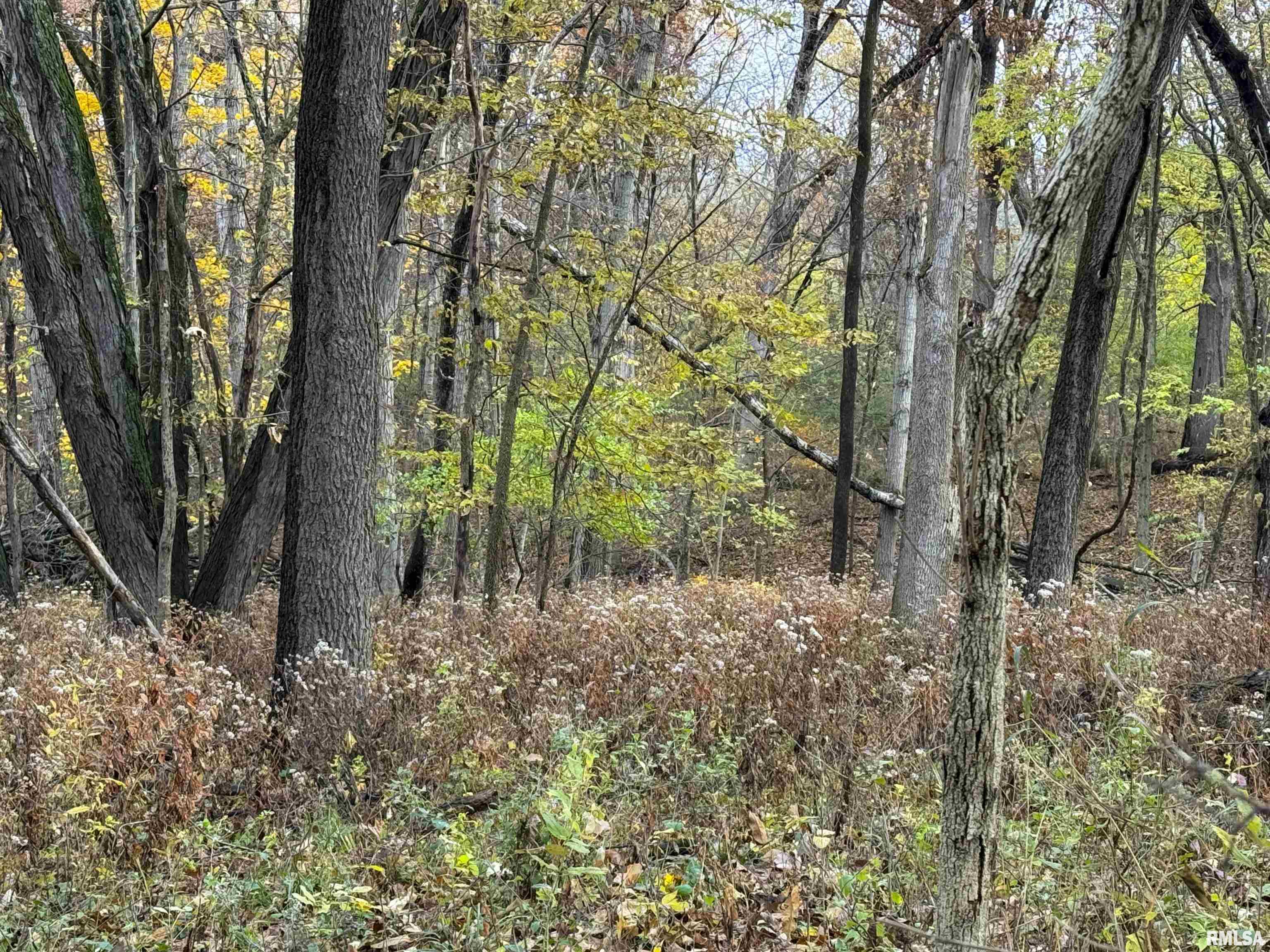 0 West Singing Woods Road Dunlap, IL 61525 - Photo 49 of 78