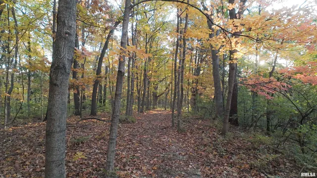 $2,300,000 | 0 West Singing Woods Road, Dunlap, IL 61525