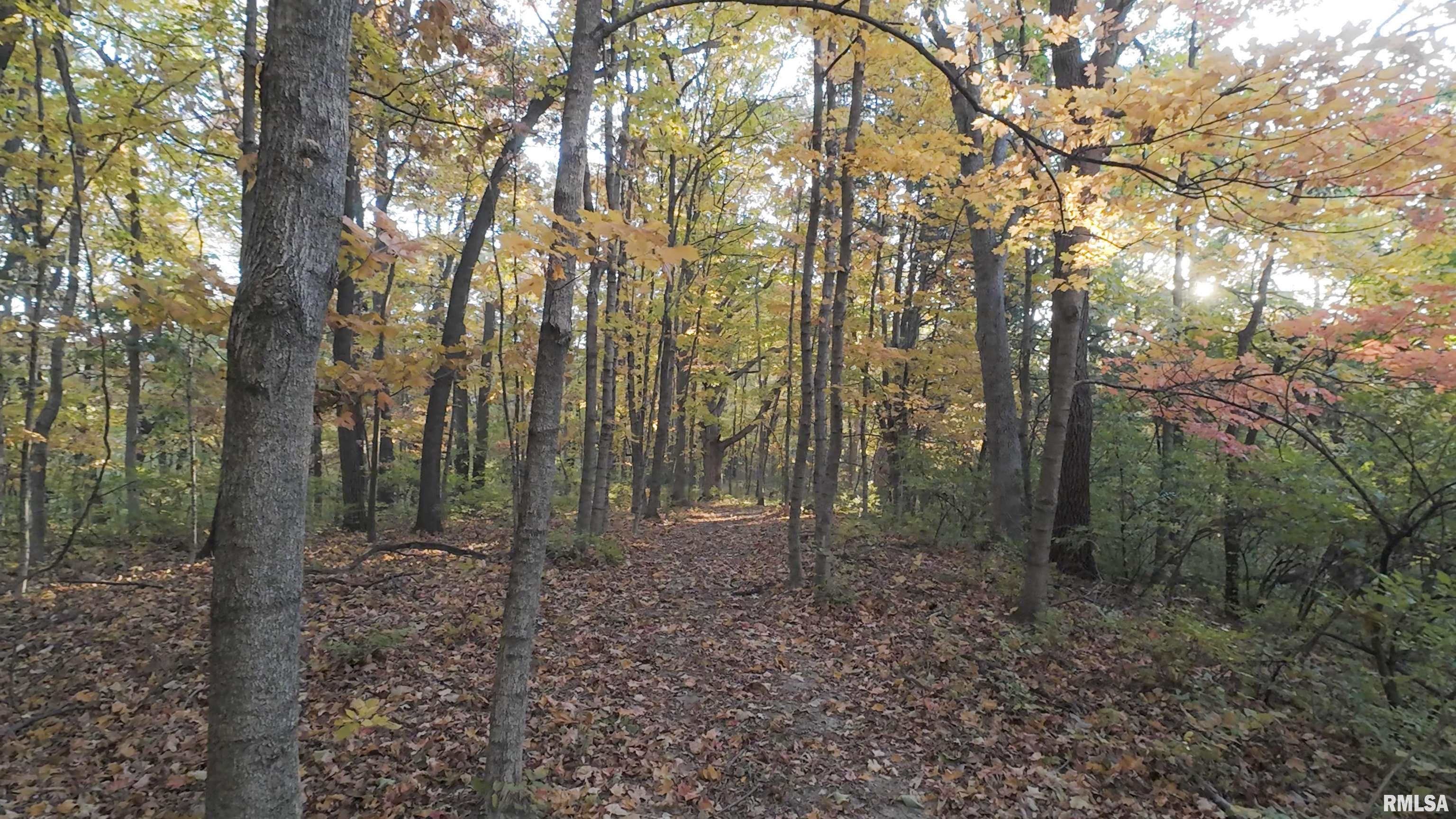 0 West Singing Woods Road Dunlap, IL 61525 - Photo 50 of 78