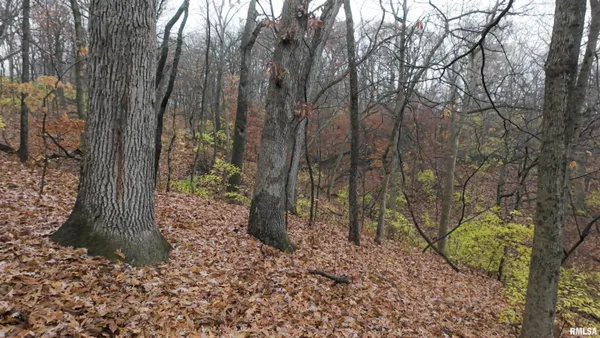 $2,300,000 | 0 West Singing Woods Road, Dunlap, IL 61525