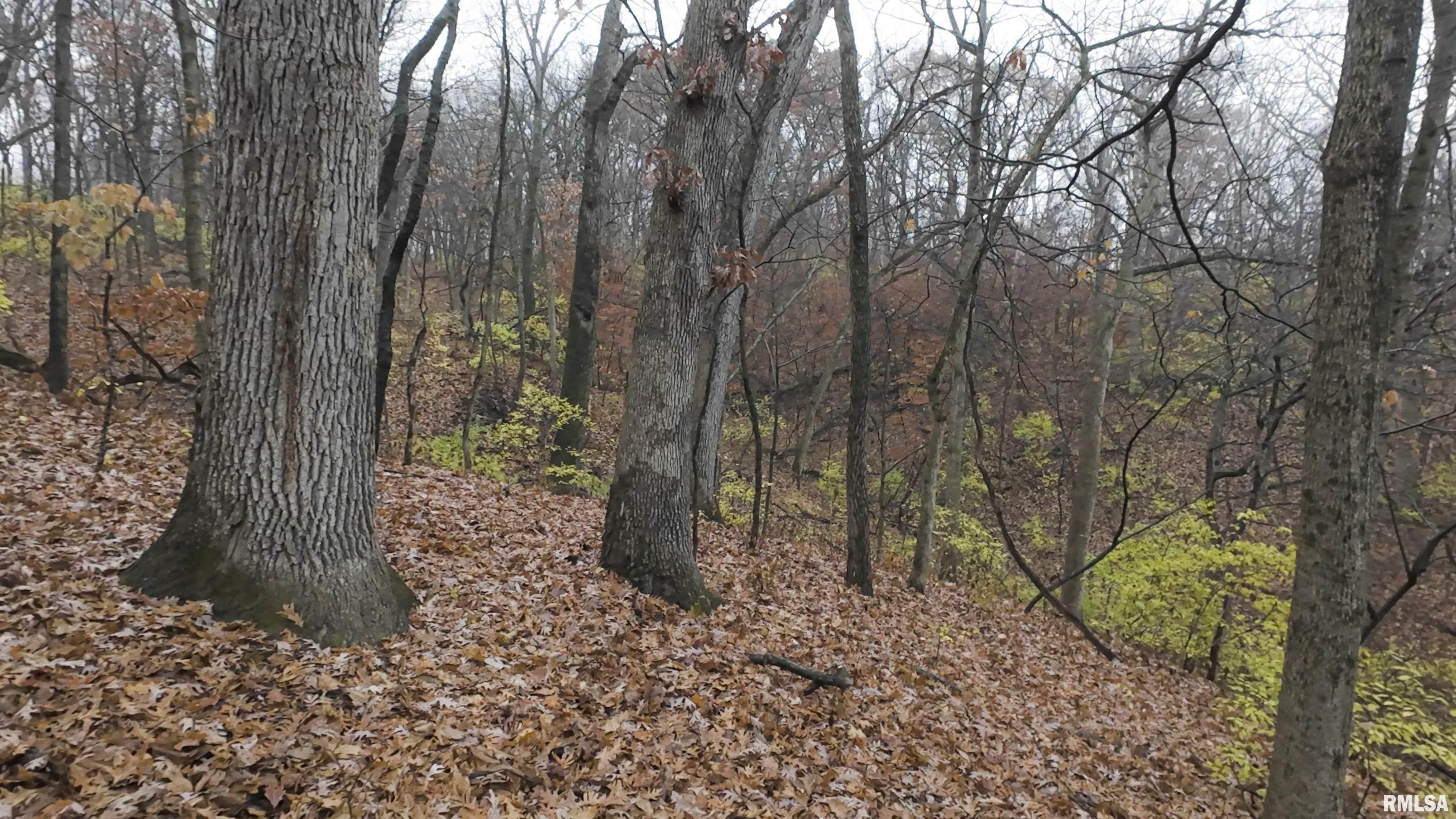 0 West Singing Woods Road Dunlap, IL 61525 - Photo 51 of 78