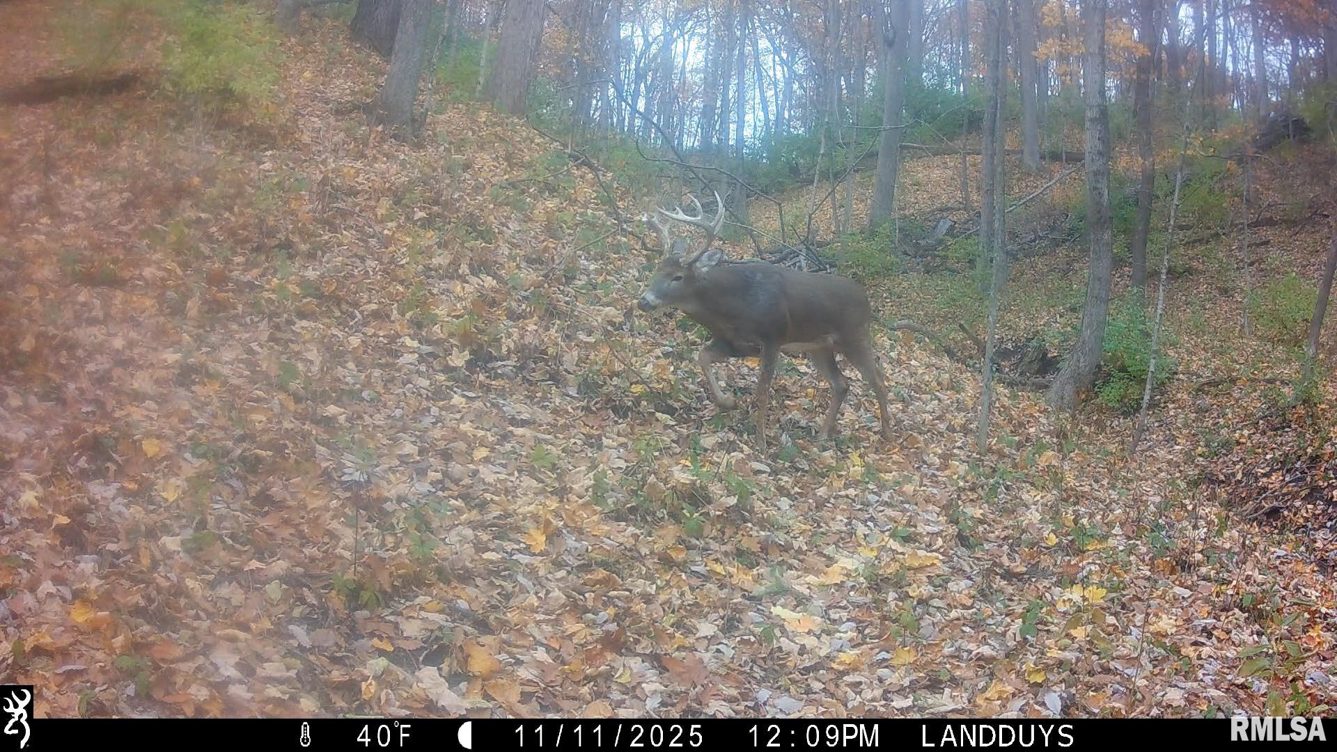 0 West Singing Woods Road Dunlap, IL 61525 - Photo 52 of 78