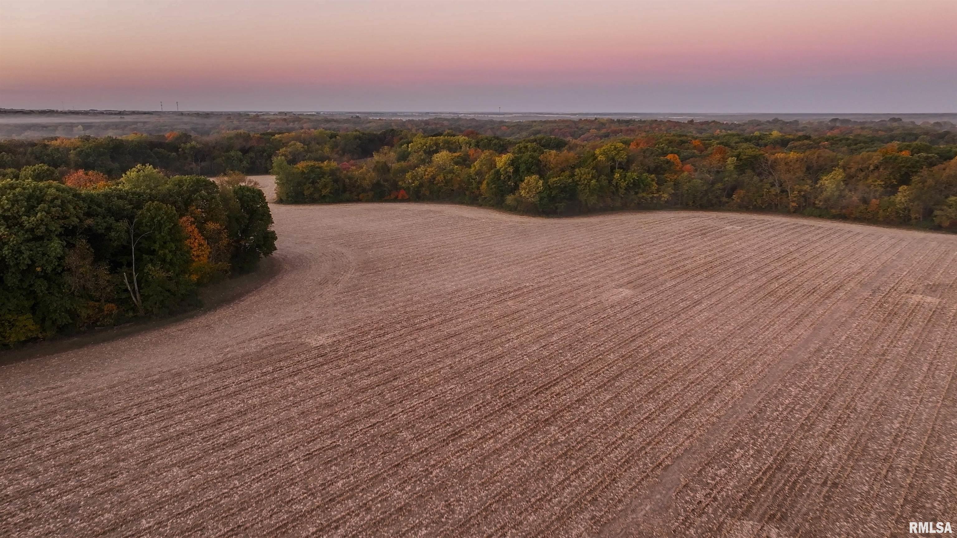 0 West Singing Woods Road Dunlap, IL 61525 - Photo 53 of 78