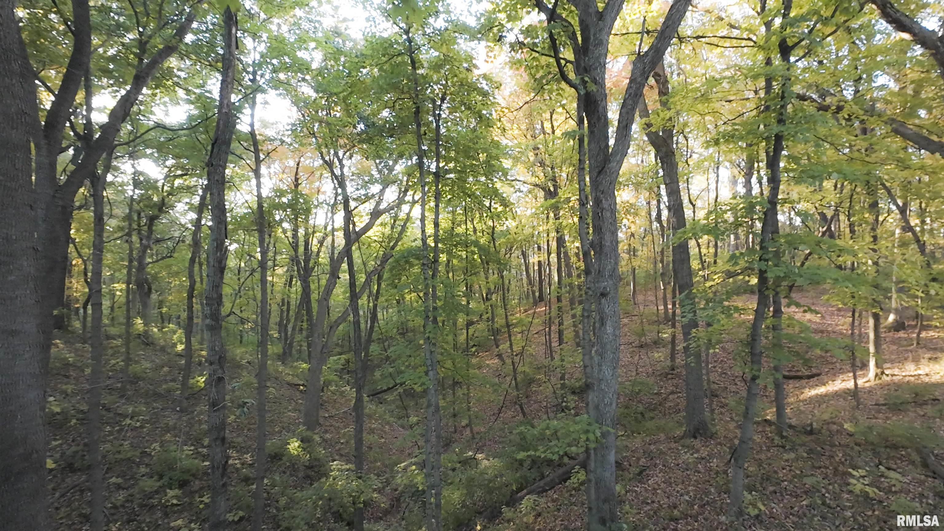 0 West Singing Woods Road Dunlap, IL 61525 - Photo 54 of 78