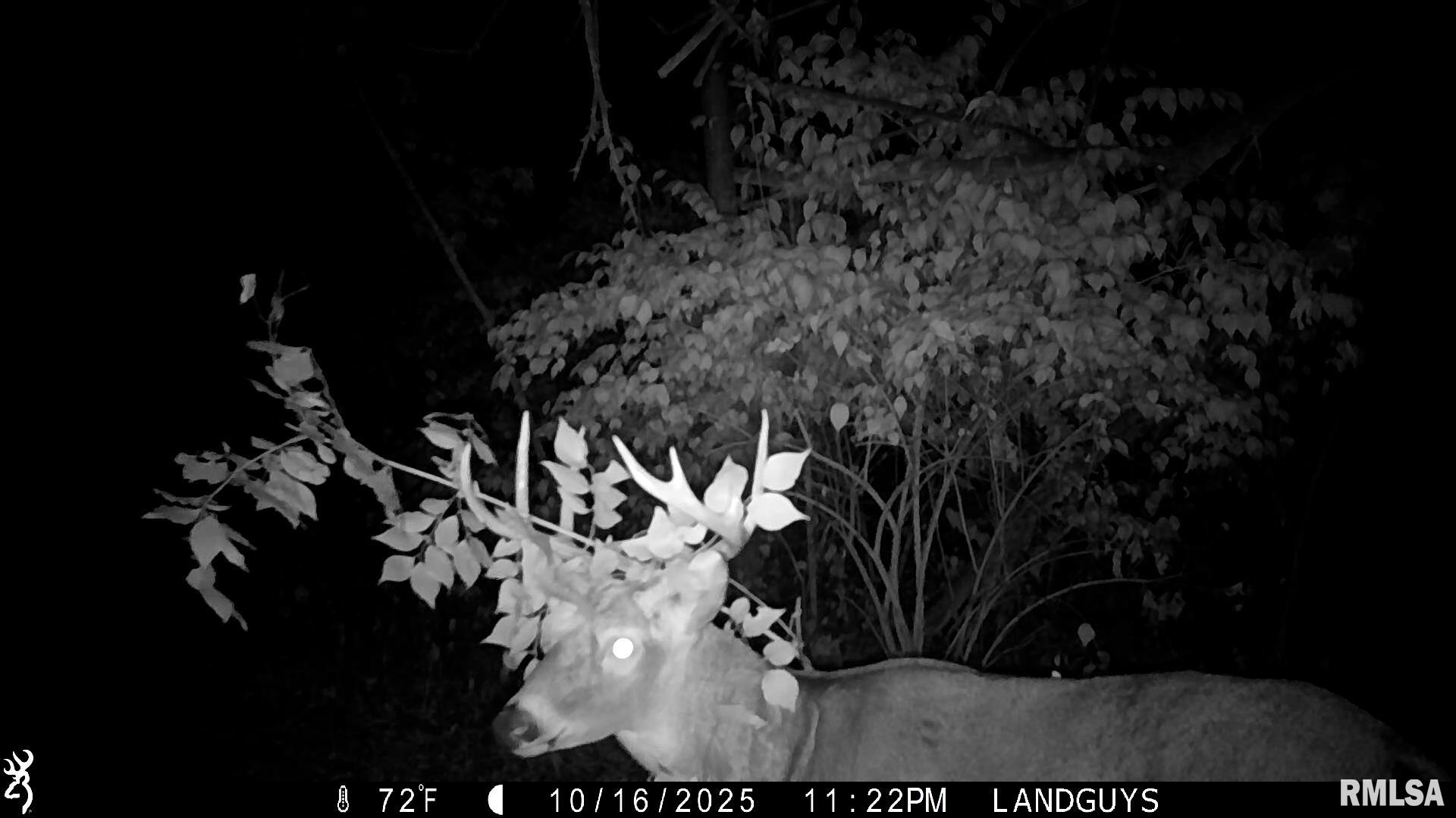 0 West Singing Woods Road Dunlap, IL 61525 - Photo 58 of 78