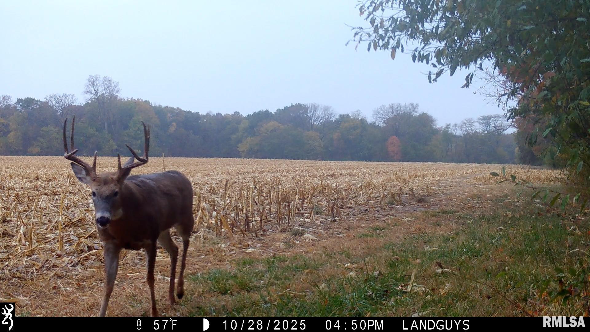 0 West Singing Woods Road Dunlap, IL 61525 - Photo 61 of 78