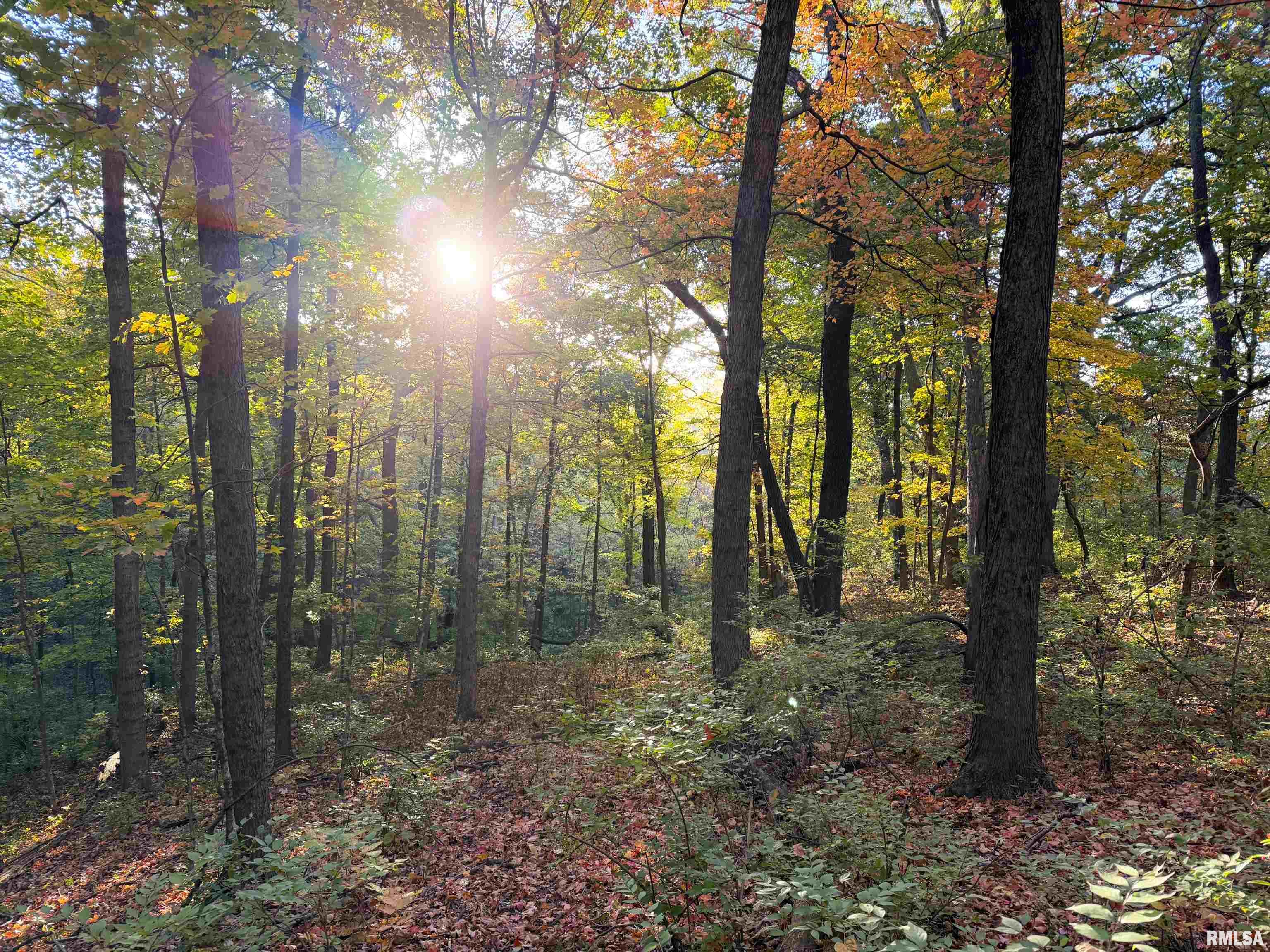 0 West Singing Woods Road Dunlap, IL 61525 - Photo 62 of 78