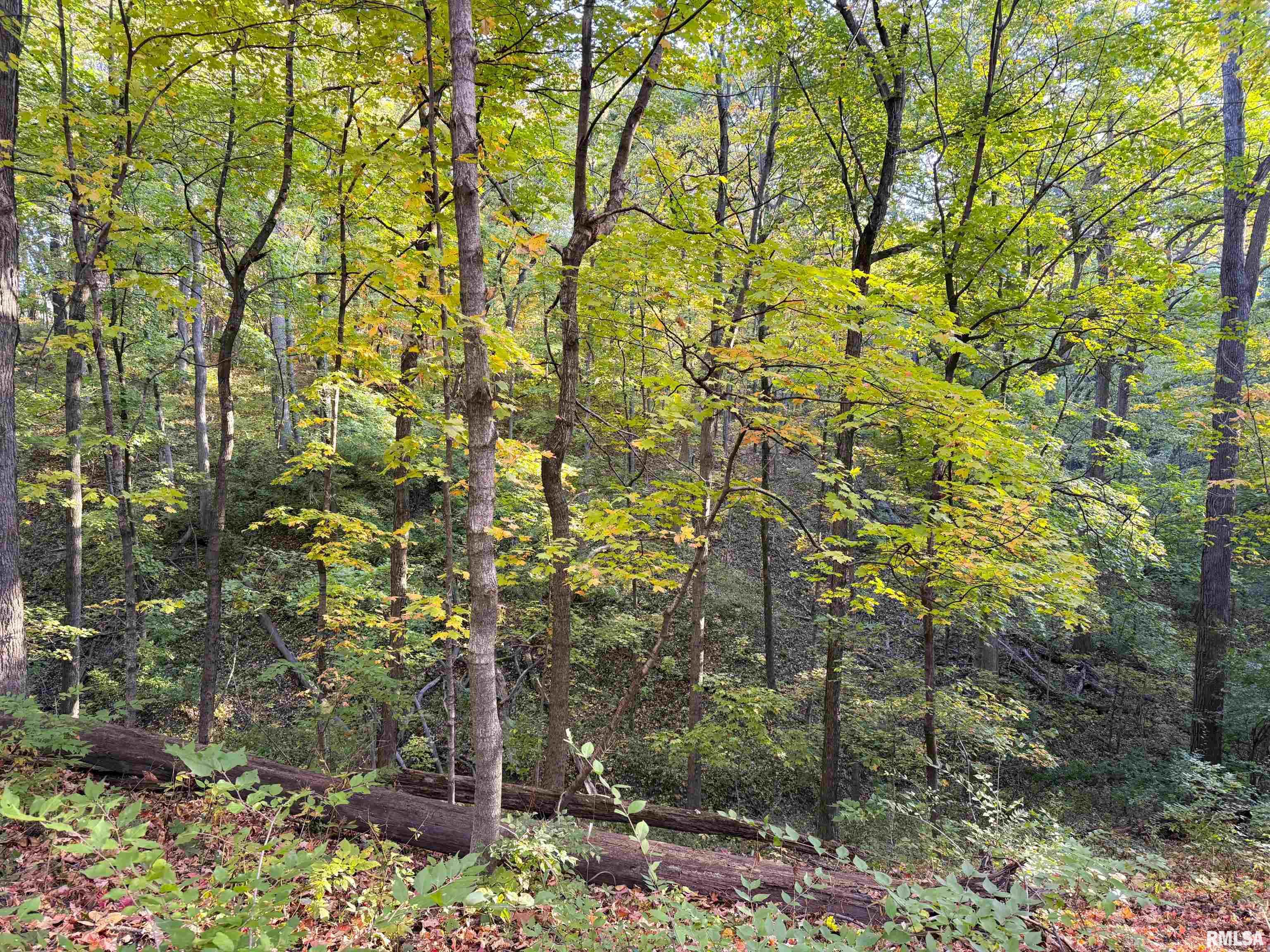 0 West Singing Woods Road Dunlap, IL 61525 - Photo 63 of 78