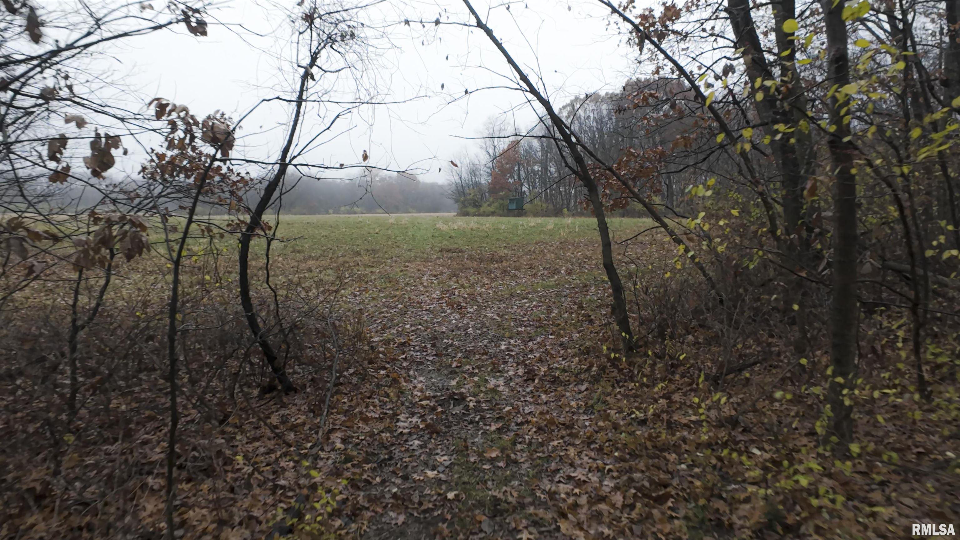 0 West Singing Woods Road Dunlap, IL 61525 - Photo 66 of 78