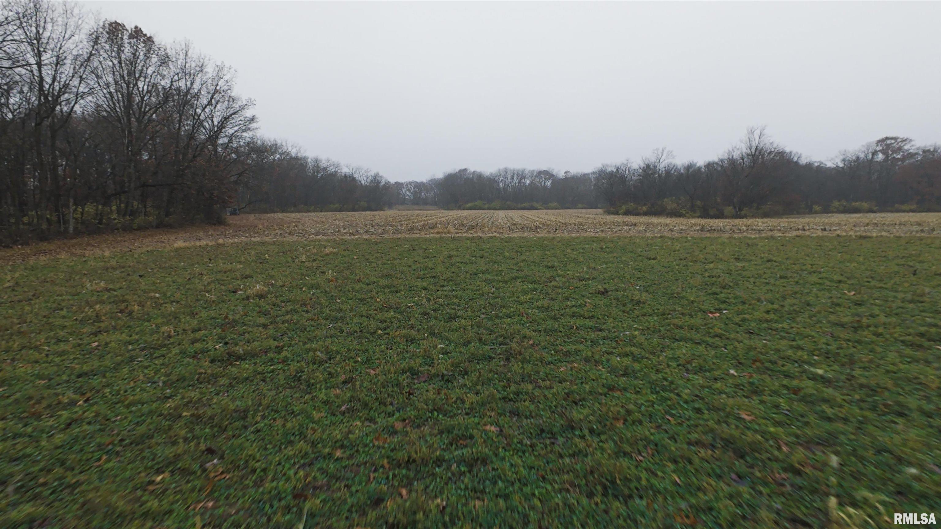 0 West Singing Woods Road Dunlap, IL 61525 - Photo 68 of 78