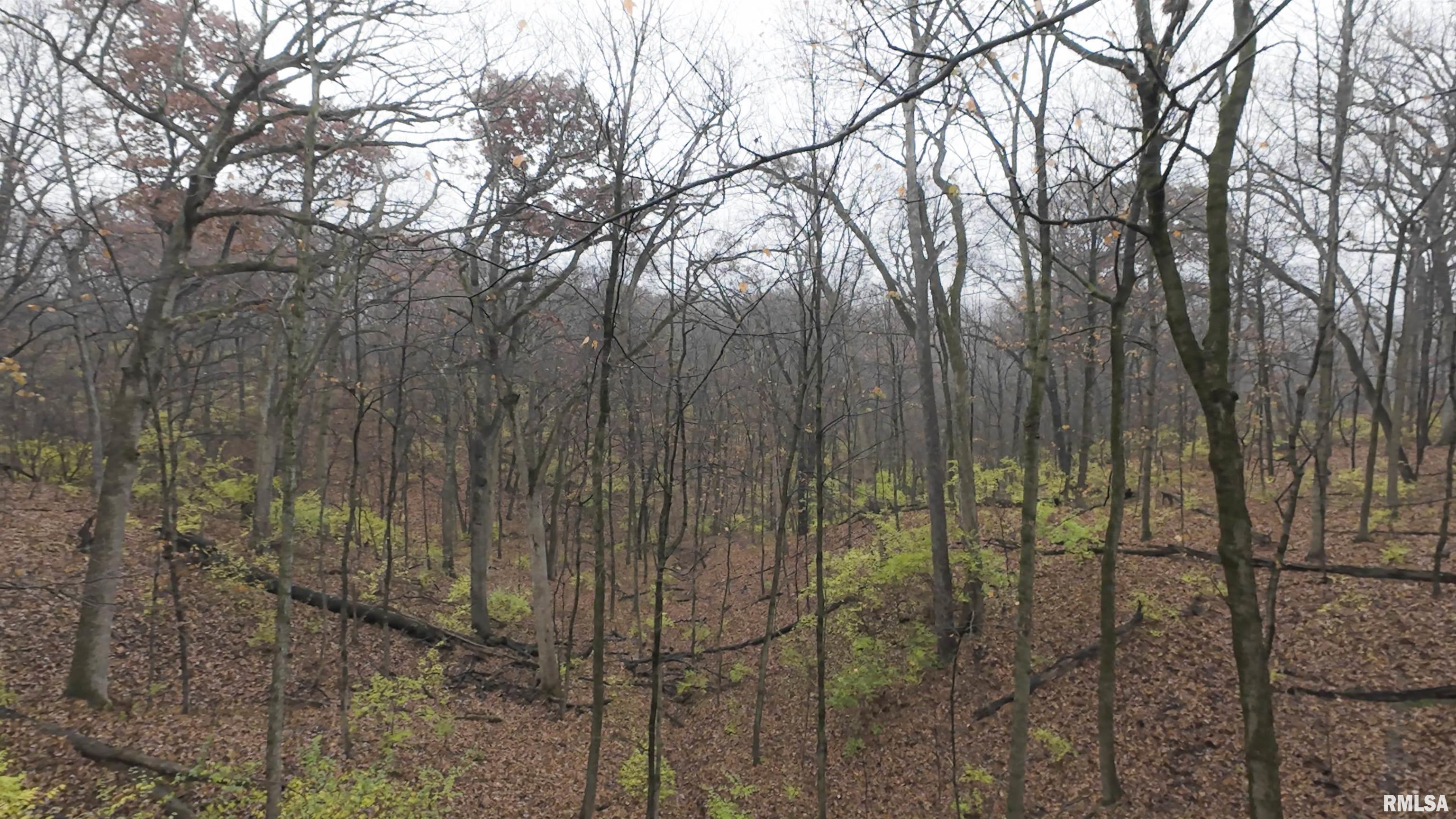 0 West Singing Woods Road Dunlap, IL 61525 - Photo 69 of 78