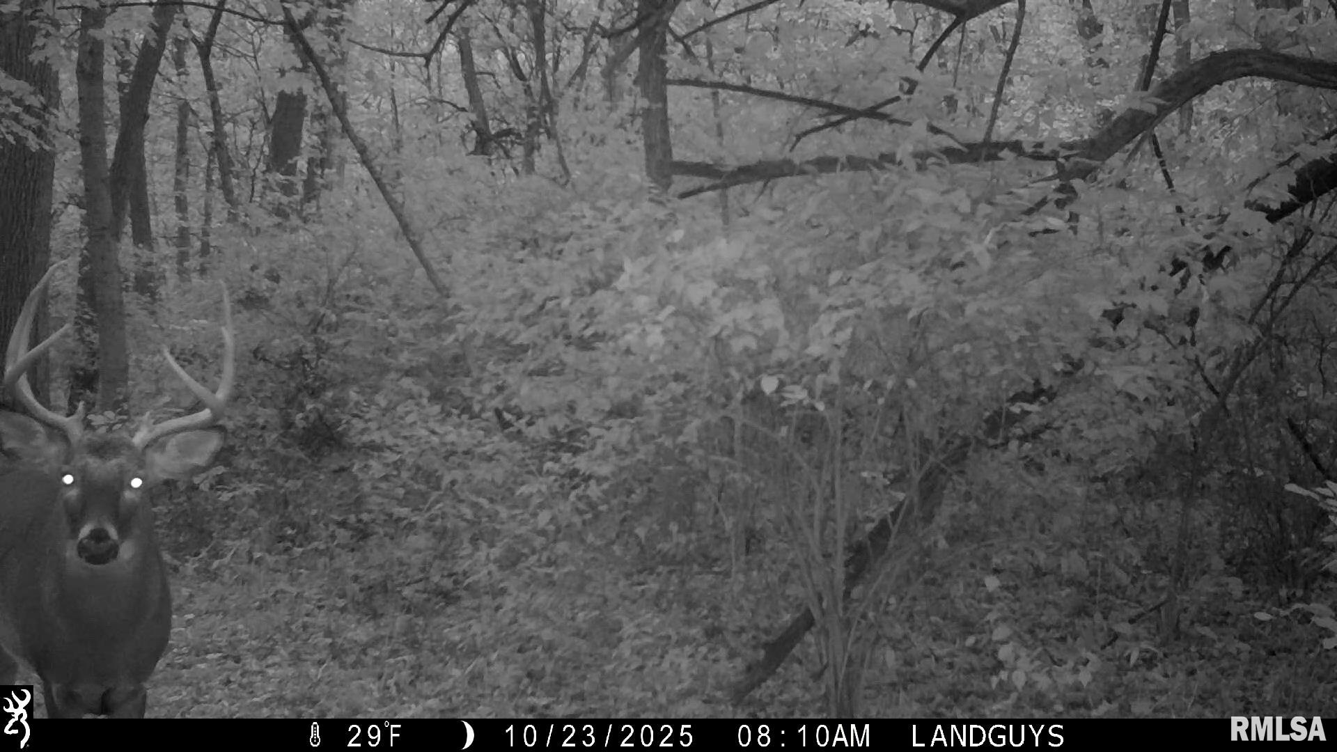 0 West Singing Woods Road Dunlap, IL 61525 - Photo 70 of 78