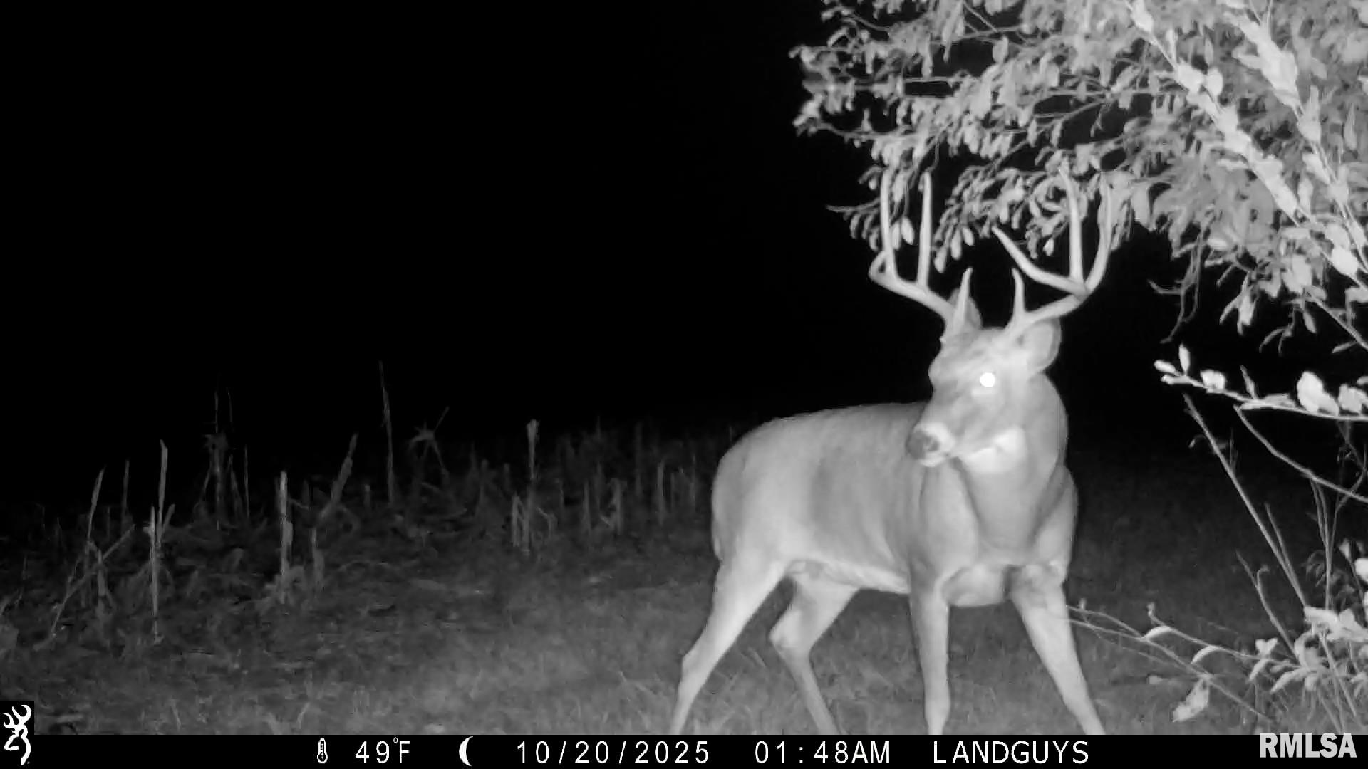 0 West Singing Woods Road Dunlap, IL 61525 - Photo 73 of 78