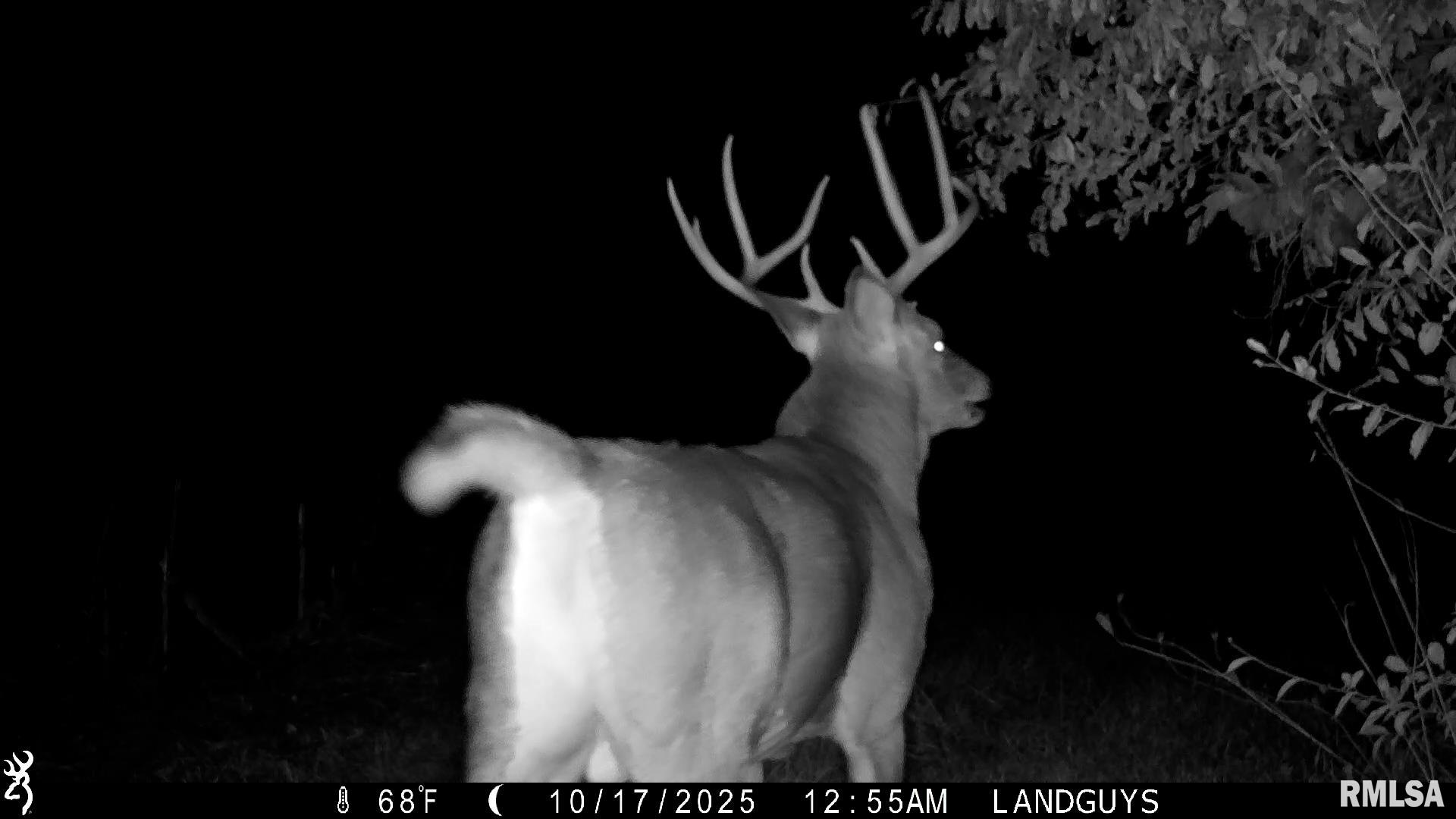 0 West Singing Woods Road Dunlap, IL 61525 - Photo 76 of 78