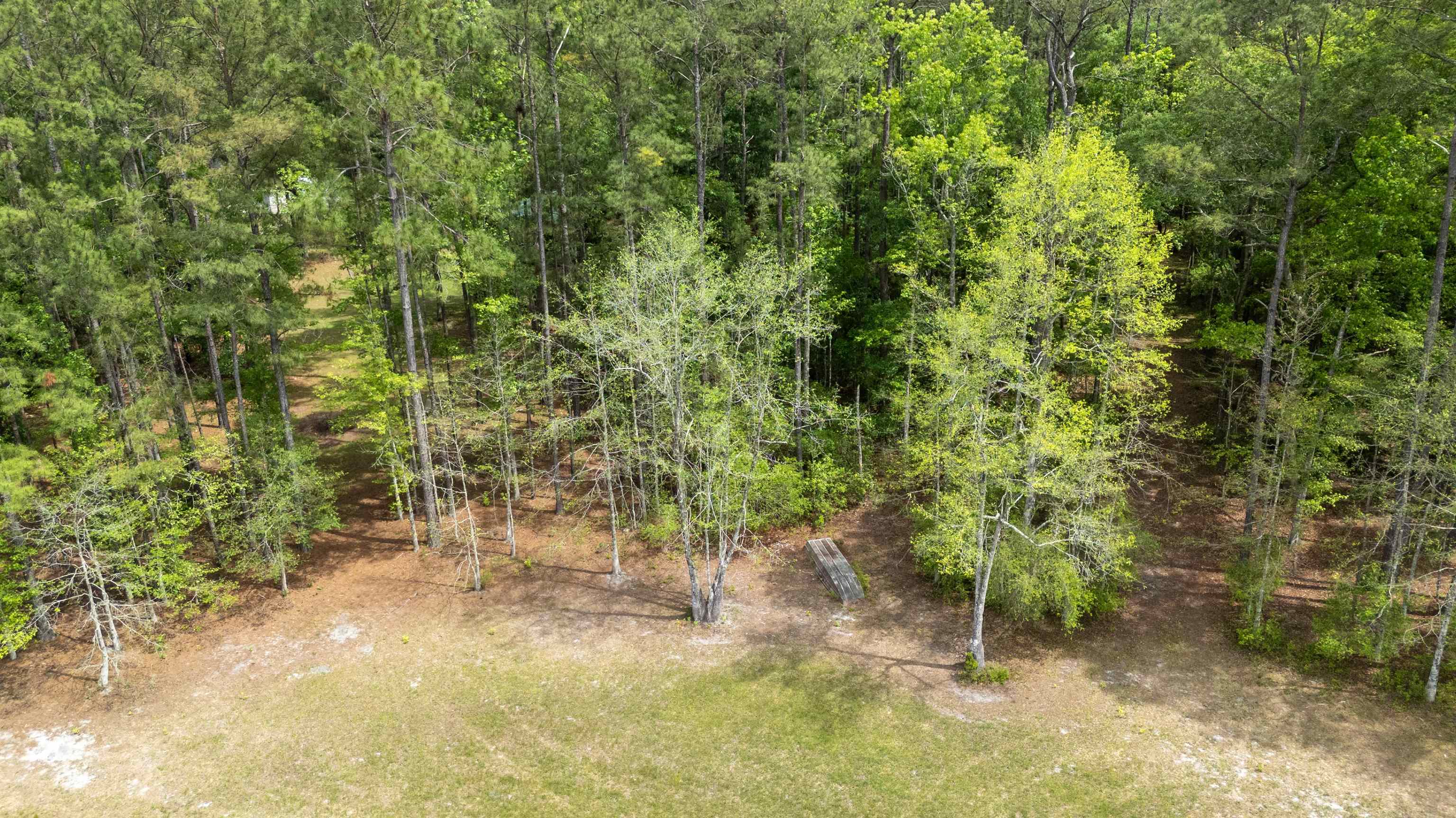 Tram Road Tallahassee, FL 32311 - Photo 16 of 29