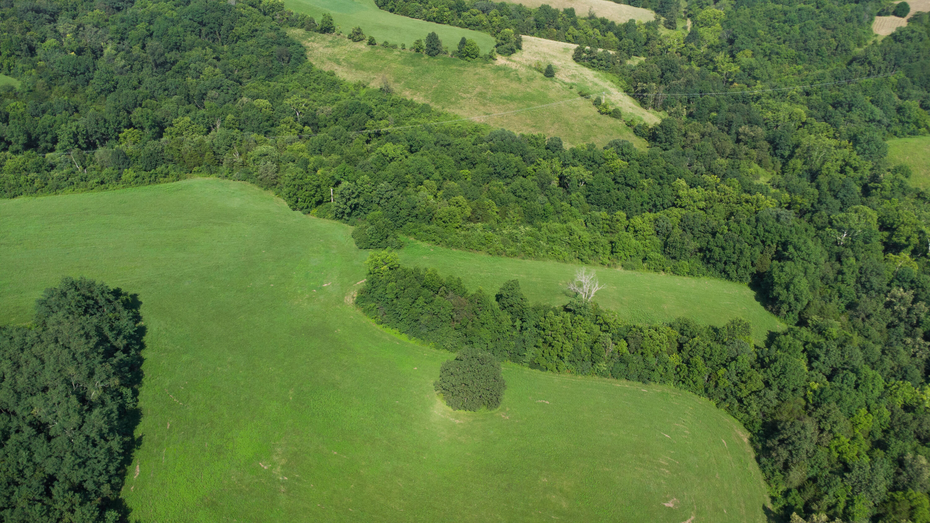 0 Baton Rouge Tract 1 Road Williamstown, KY 41097 - Photo 9 of 25