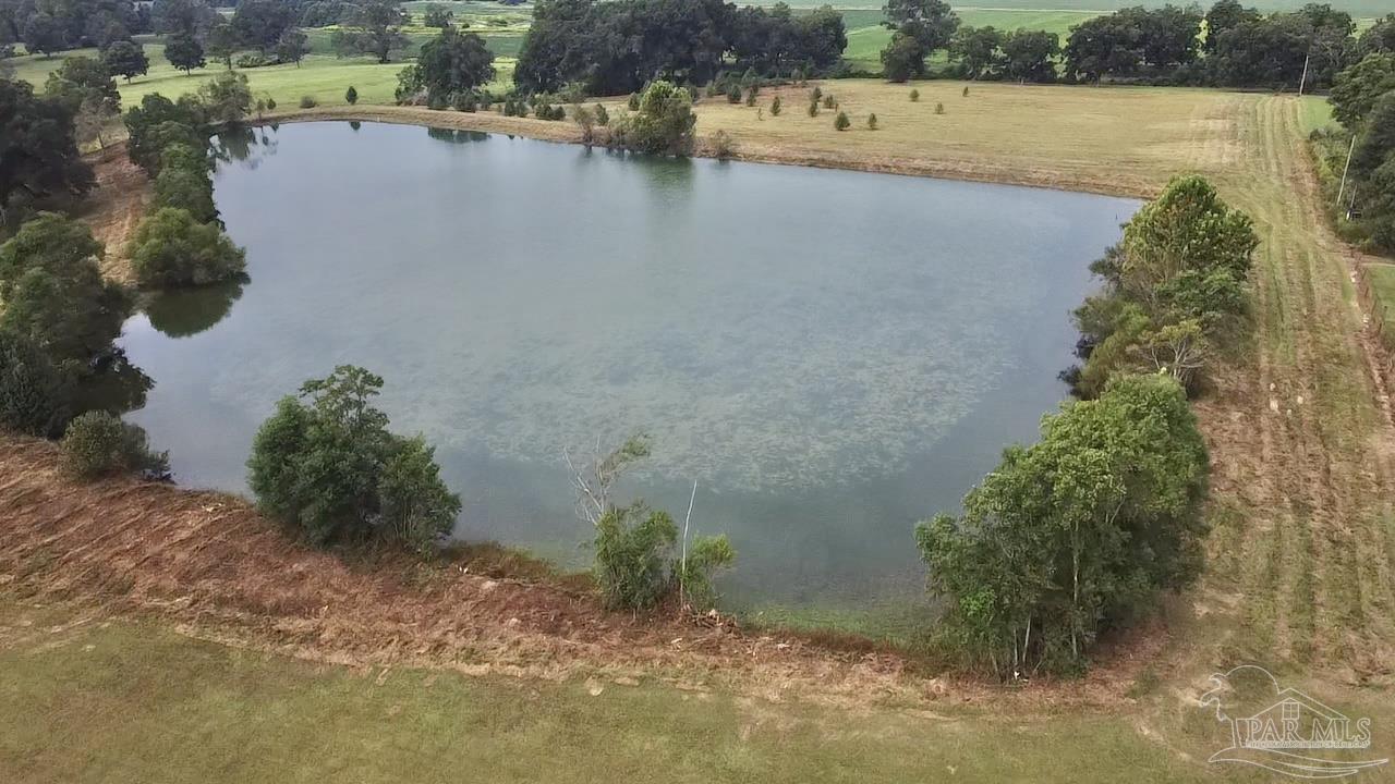 248 Howard Page Lane Atmore, AL 36502 - Photo 34 of 46