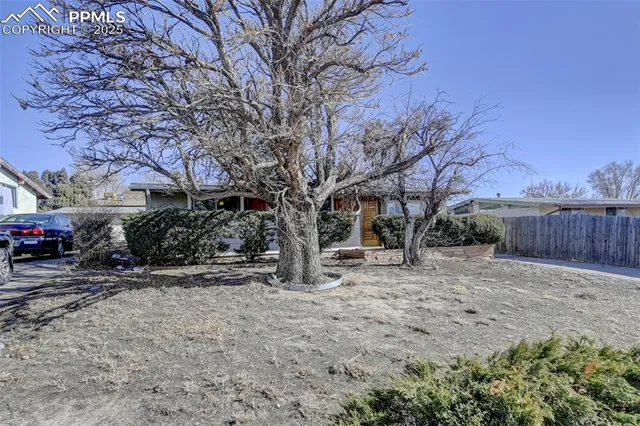 a view of backyard with wooden fence and large trees