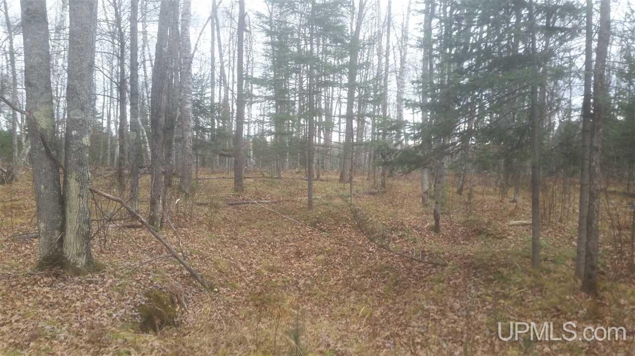 Tbd Maggie Point Road, Unit PCL 9E Crystal Falls, MI 49920 - Photo 6 of 7