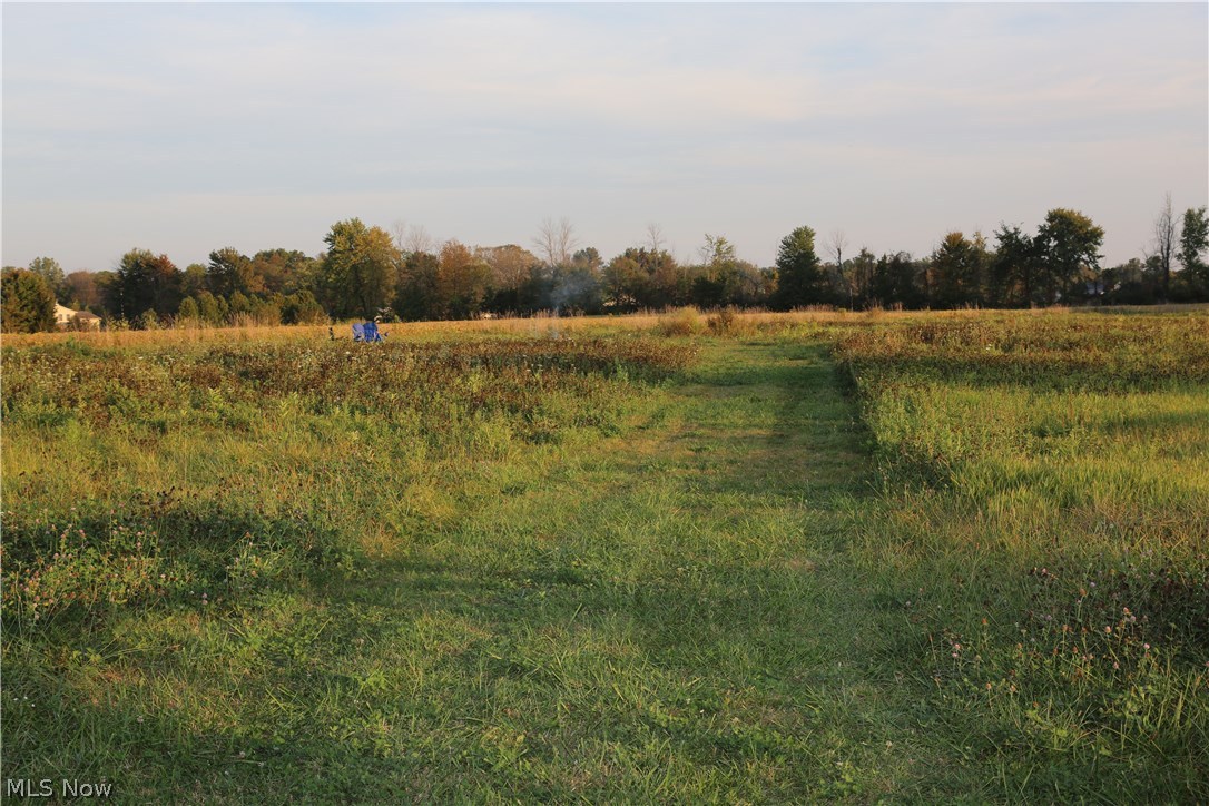 10834 Old Mill Road Spencer, OH 44275 - Photo 34 of 34 5 acre vacant land included
