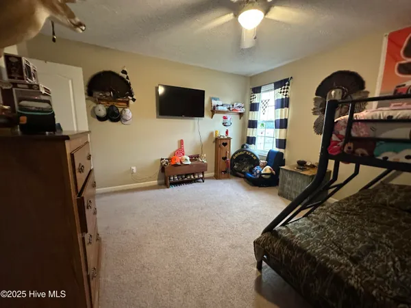 $220,000 | 203 Garriss Street, Conway, NC 27820