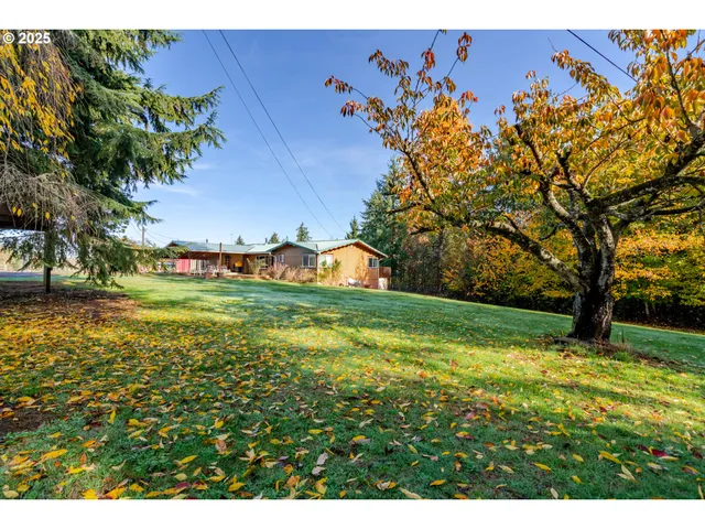 a view of a backyard